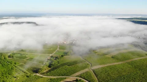 Mosel Valley 動画素材 90537253