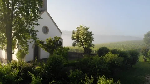 Mosel Valley 動画素材 90537257