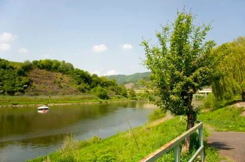 Moselle in germany Stock Photos