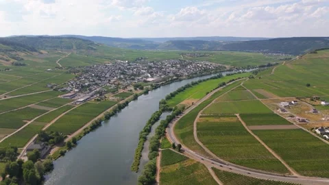 Moselle Valley in summer, loop of Mosel river, aerial view, riesling wine Stock Footage 340029939