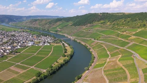 Moselle Valley in summer, loop of Mosel river, aerial view, riesling wine Stock Footage 340029990