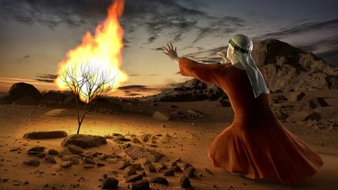 Moses and the burning bush Stock Footage 89128299