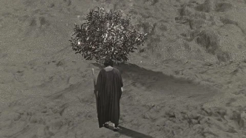 Moses and the Burning Bush Stock Footage 133512304