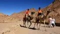Moses Mountain. Sinai Peninsula. Egypt HD Footage