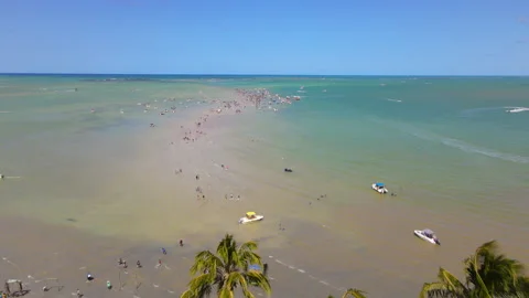 Moses Path or Caminho de Moises on Barra Grande beach in the city of Maragogi Stock Footage 280205227