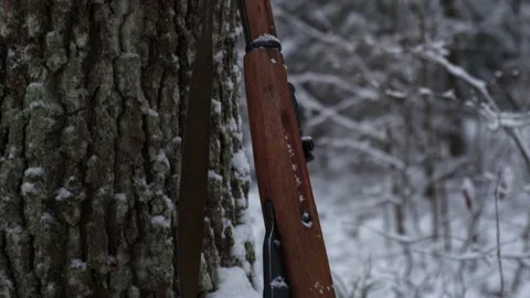 Mosin's Soviet rifle stands by a tree in the winter forest Stock Footage 220712466