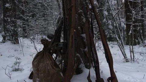 Mosin's Soviet rifle stands by a tree in the winter forest Stock Footage 221093965