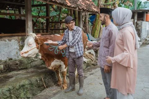 The moslem man standing with thumb up while looking at the cow Stock Photos