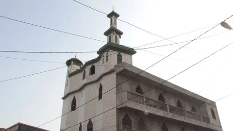 Mosq behind cables Stock Footage 80492949