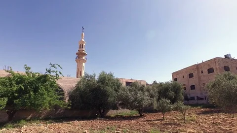 The Mosque is Among the Green Trees. Stock Footage 75344465
