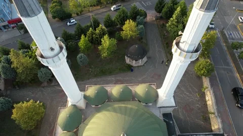 Mosque and minaret Stock Footage 219828304