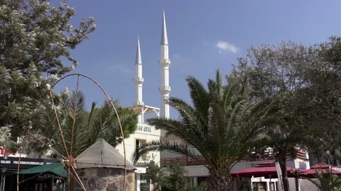 Mosque and minaret seen through the trees Stock Footage 85062908