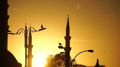 Mosque and silhoutte Stock Footage 82644650
