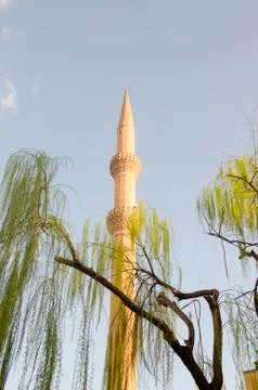 Mosque and Tree Stock Photos