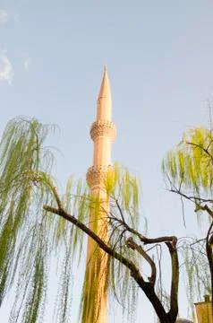Mosque and Tree Stock Photos