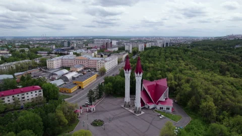 Mosque and trees Stock Footage 219594567