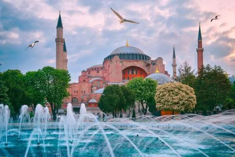 Mosque Aya Sofia with gulls in the sky Stock Photos