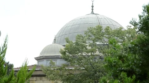 Mosque behind Trees Stock Footage 53347842