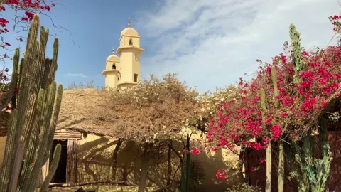 Mosque with cactus and shade in the desert in Egypt Stock Footage 195533583
