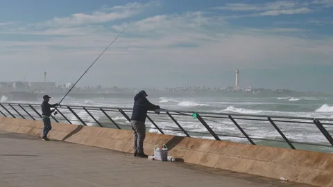 Mosque Casablanca Morocco Stock Footage 222334484