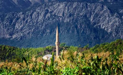 Mosque in a cornfield on a background of mountains. Turkey, Kirish. Stock Photos