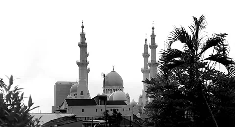 Mosque, Far Beyond Tree, BNW Stock-Footage 304725936