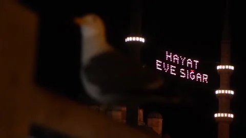 Mosque Video stock 169771734