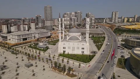 Mosque in Istanbul Video stock 169148194