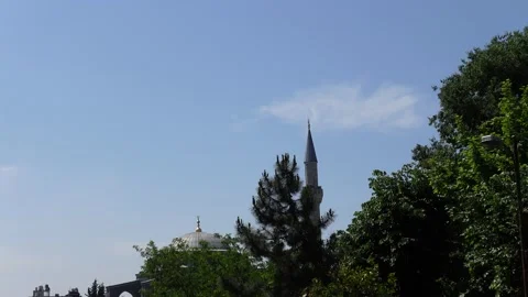 Mosque (Istanbul - Turkey) Stock Footage 196172513