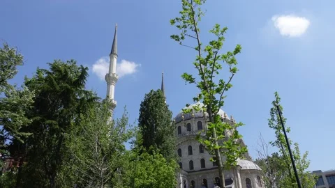 Mosque (Istanbul - Turkey) Stock Footage 196178358