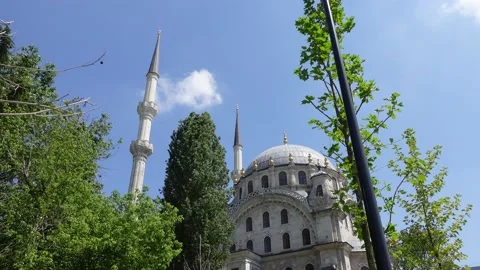 Mosque (Istanbul - Turkey) Stock Footage 196178394