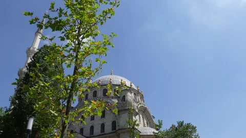 Mosque (Istanbul - Turkey) Stock Footage 196178395