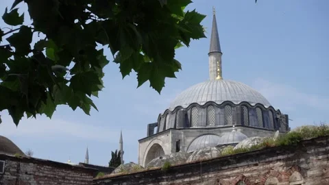 Mosque (Istanbul - Turkey) Video stock 196624408