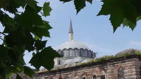 Mosque (Istanbul - Turkey) Video stock 196627812