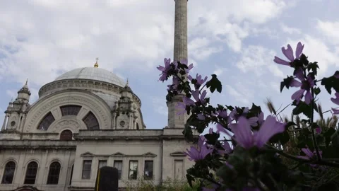 Mosque (Istanbul - Turkey) Stock Footage 196646186