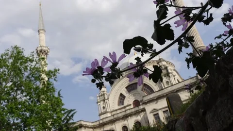 Mosque (Istanbul - Turkey) Stock Footage 196646490