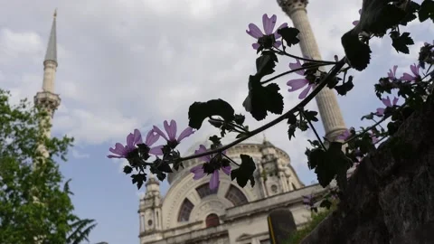 Mosque (Istanbul - Turkey) Stock Footage 196646732