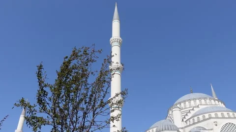 Mosque (Istanbul - Turkey) Stock Footage 197349443