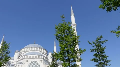 Mosque (Istanbul - Turkey) Stock Footage 197350297