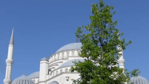 Mosque (Istanbul - Turkey) Stock Footage 197350760