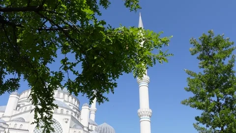 Mosque (Istanbul - Turkey) Stock Footage 197351428