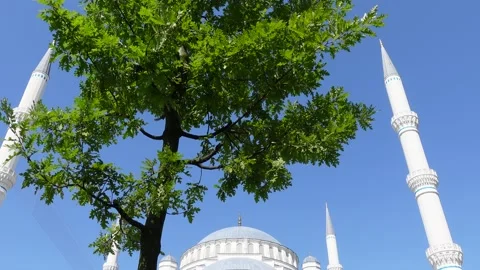 Mosque (Istanbul - Turkey) Stock Footage 197352656