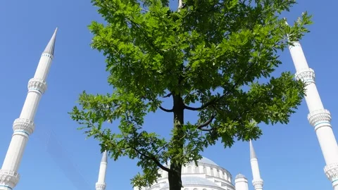 Mosque (Istanbul - Turkey) Stock Footage 197352907
