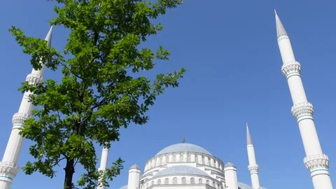 Mosque (Istanbul - Turkey) Stock Footage 197353463