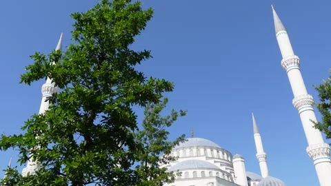 Mosque (Istanbul - Turkey) Stock Footage 197353979