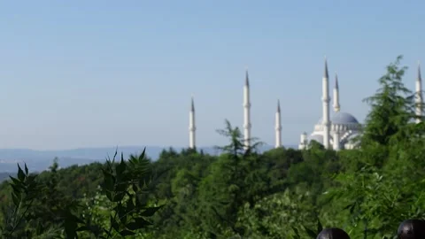 Mosque (Istanbul - Turkey) Stock Footage 197355424