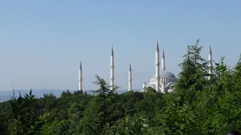 Mosque (Istanbul - Turkey) Stock Footage 197355848