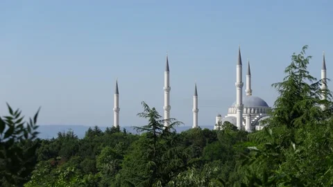 Mosque (Istanbul - Turkey) Stock Footage 197356194