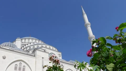 Mosque (Istanbul - Turkey) Stock Footage 197377372