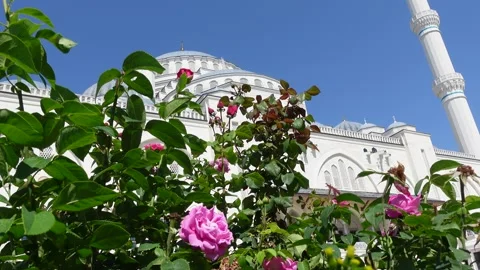 Mosque (Istanbul - Turkey) Stock Footage 197377514